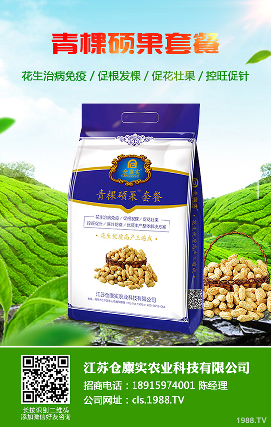 芹菜病毒病危害巨大，到底該如何防治？芹菜病毒病的防治措施