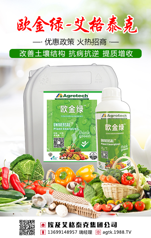 不要盲目施肥了，茶葉需要吃對糧！