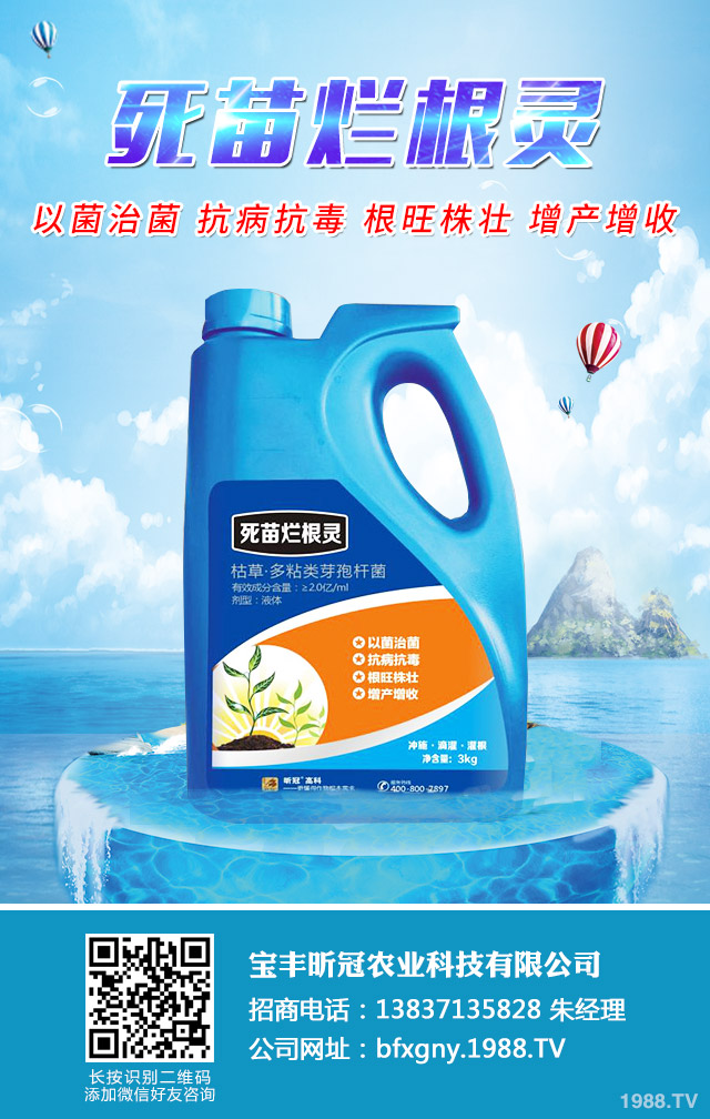 茄子幼苗如何防治立枯??？茄子幼苗立枯病防治技巧