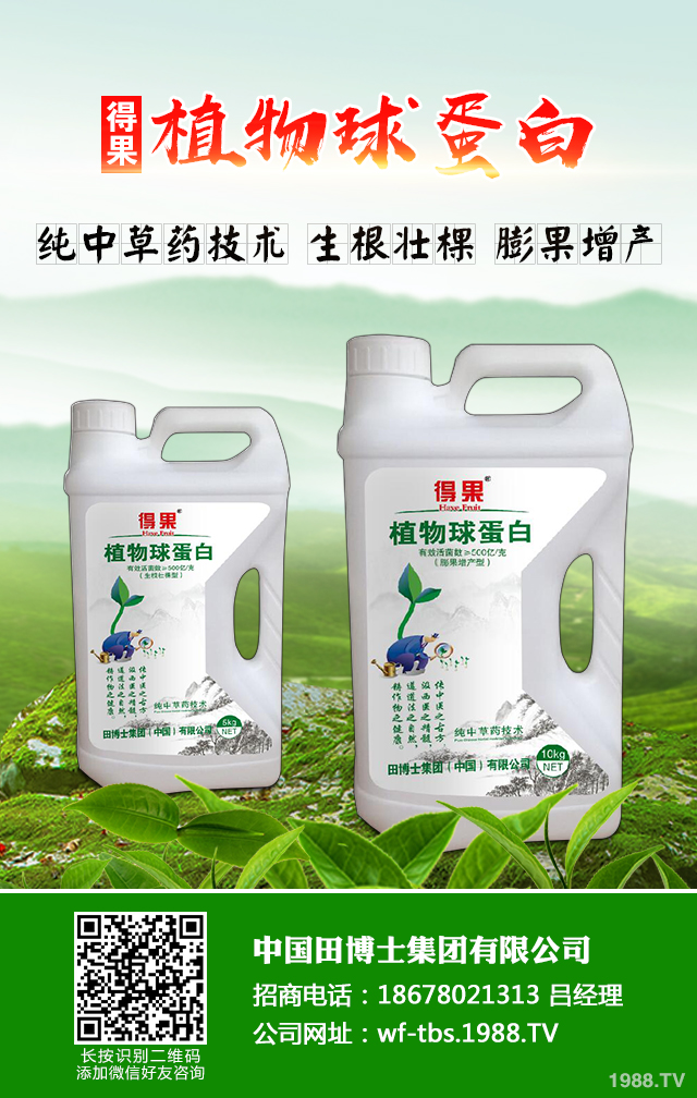 大蔥種植怎么管理？秋季大蔥管理好方法