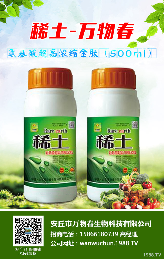 大蔥種植怎么管理？秋季大蔥管理好方法