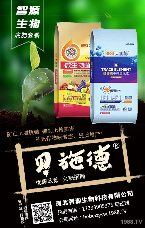 �Nֲ��횿������ǻ�����׷��ʩ�ʷ���