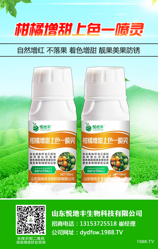 西蘭花該怎么種植？西蘭花高產(chǎn)種植技術要點