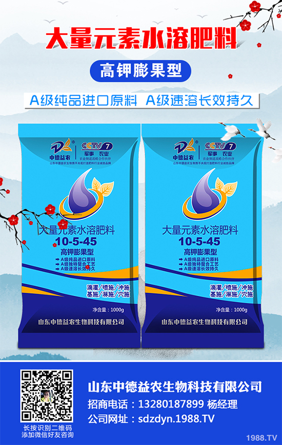 西蘭花該怎么種植？西蘭花高產(chǎn)種植技術要點