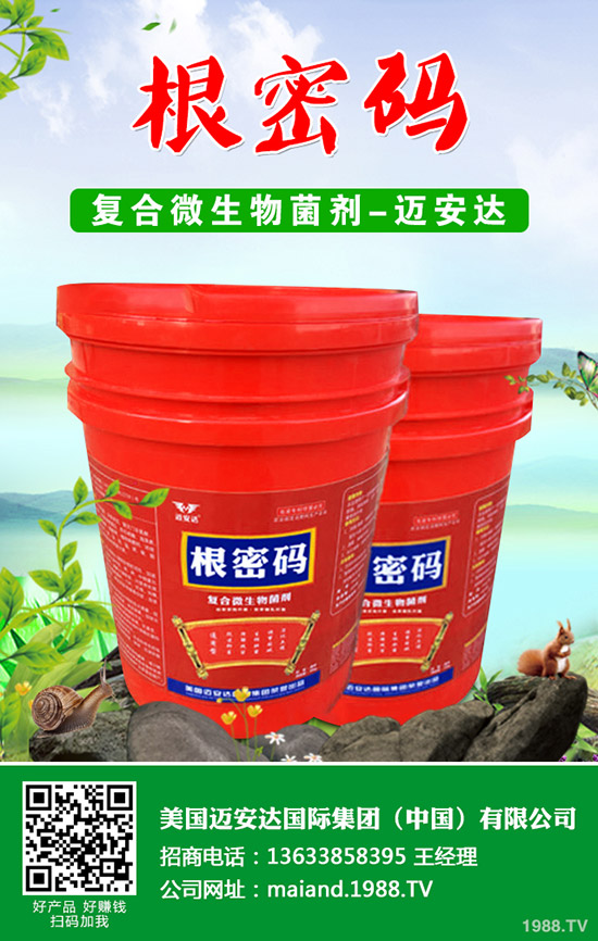 �����Jʲô�r��Nֲ�������J�Nֲ���g(sh��)��