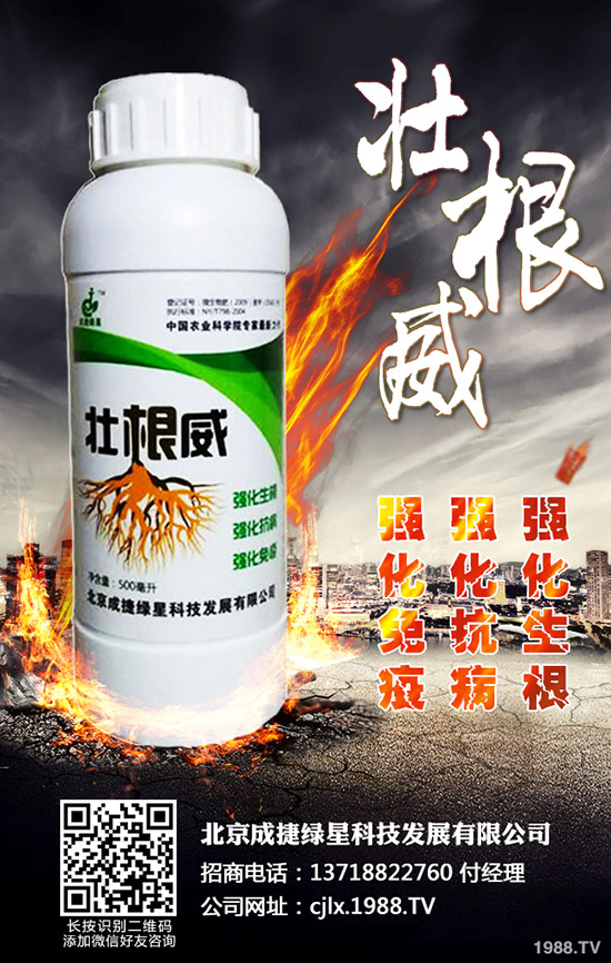 青椒的種植方法有哪些？青椒種植過程中需要注意的幾大問題