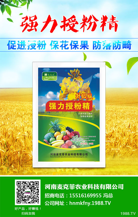 �������Щ�I(y��ng)�B(y��ng)�r(ji��)ֵ���Խ������Щ��̎����˵Ĺ�Ч�c����