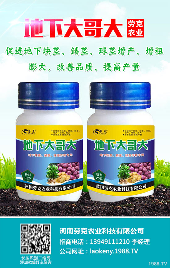 �������Щ�I(y��ng)�B(y��ng)�r(ji��)ֵ���Խ������Щ��̎����˵Ĺ�Ч�c����