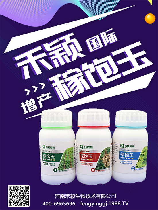 秋葵種植和收獲時間，秋葵種植的生長環(huán)境！