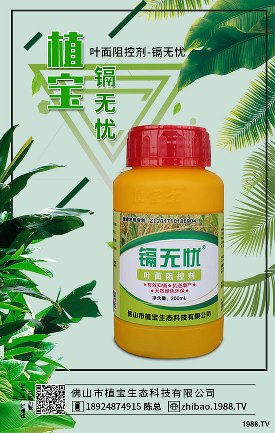 秋季大蔥什么時(shí)間種植？2019秋茬大蔥種植技術(shù)指南