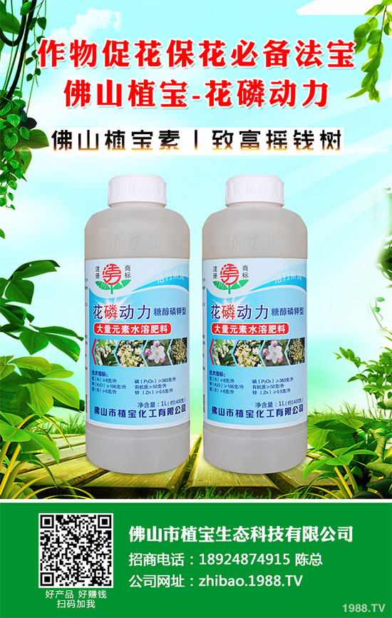 秋季大蔥什么時(shí)間種植？2019秋茬大蔥種植技術(shù)指南