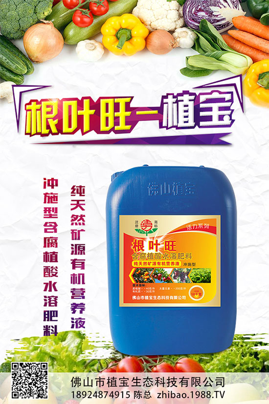 大蔥種植需要滿足那些條件？大蔥種植時(shí)間及對(duì)環(huán)境的要求