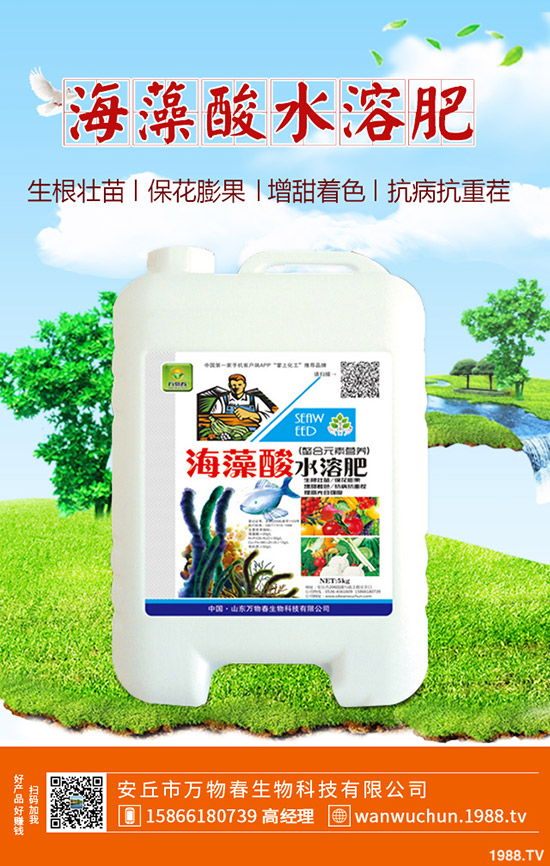 蘆薈多久澆一次水？蘆薈澆水注意事項(xiàng)！