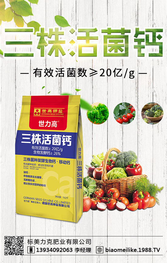 秋黃瓜什么時(shí)候栽培好，秋黃瓜栽培的注意事項(xiàng)！