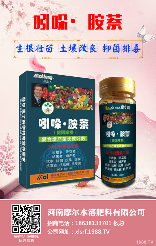 蓮藕怎樣才能高產(chǎn)，蓮藕的高產(chǎn)管理技術