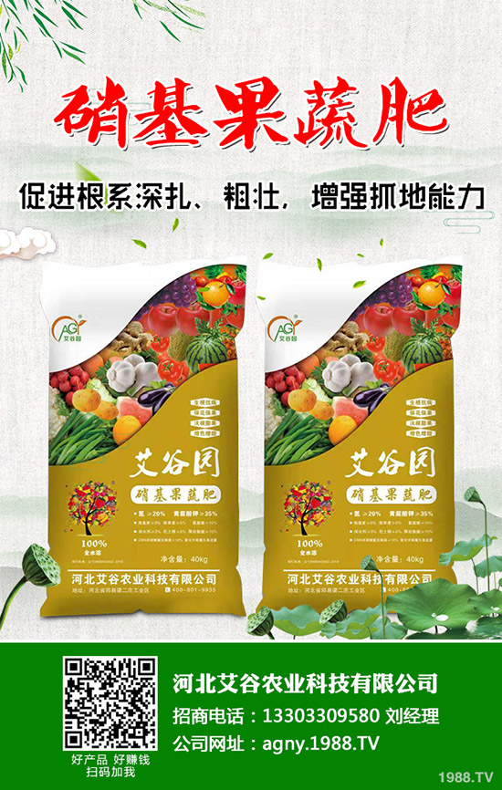 花椰菜與西蘭花的營養(yǎng)價值有什么不同，花椰菜西蘭花的區(qū)別有哪些？