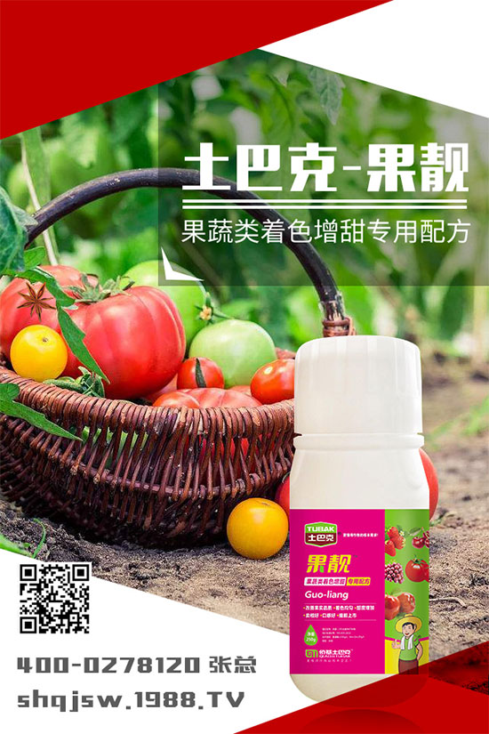 南瓜種植時間是什么時候？南瓜的播種方法及栽培技術(shù)!