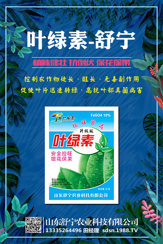 柿子怎么種植？種植柿子的注意事項(xiàng)有哪些？