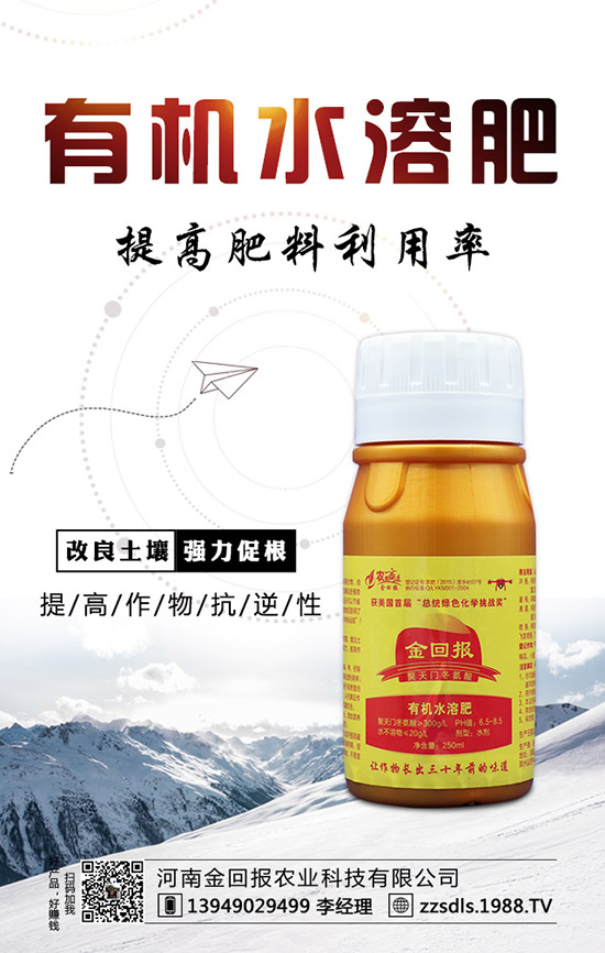 芒果什么時候種植？芒果的高產(chǎn)種植方法！