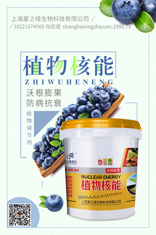 番茄菌核病有哪些癥狀，番茄菌核病危害及防治！