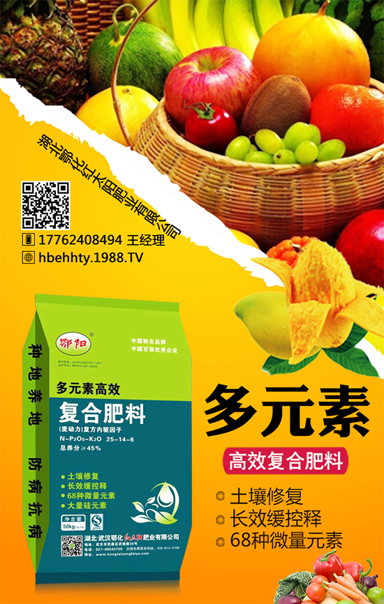 黃皮火龍果怎么種植？黃皮火龍果的種植技術(shù)！