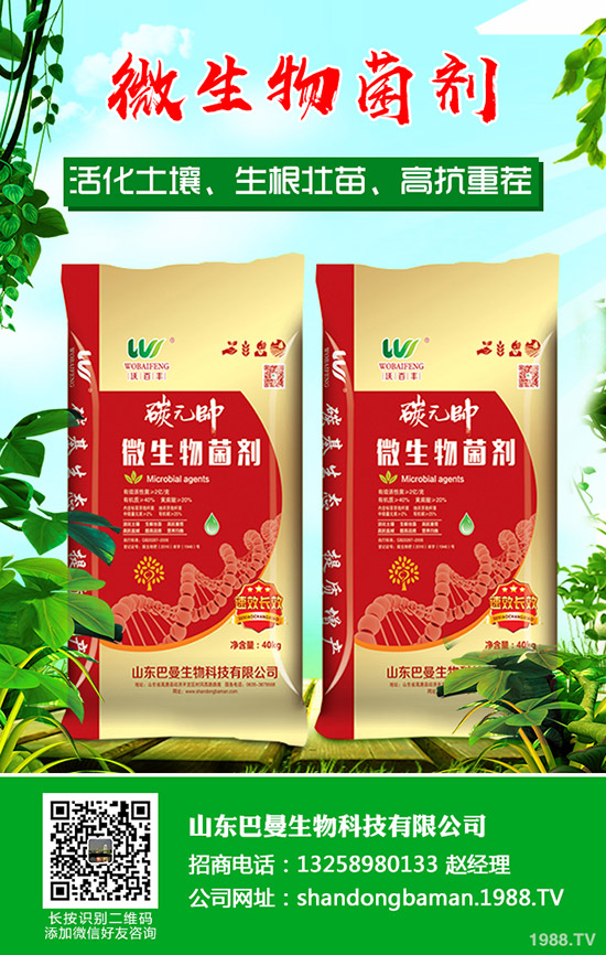     近期國(guó)內(nèi)鉀肥市場(chǎng)走勢(shì)偏淡！最新鉀肥行情走勢(shì)預(yù)測(cè)2019-9-23