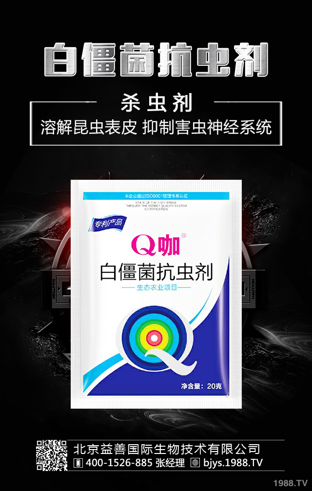 月季病蟲害怎么防治？月季病蟲害防治集錦