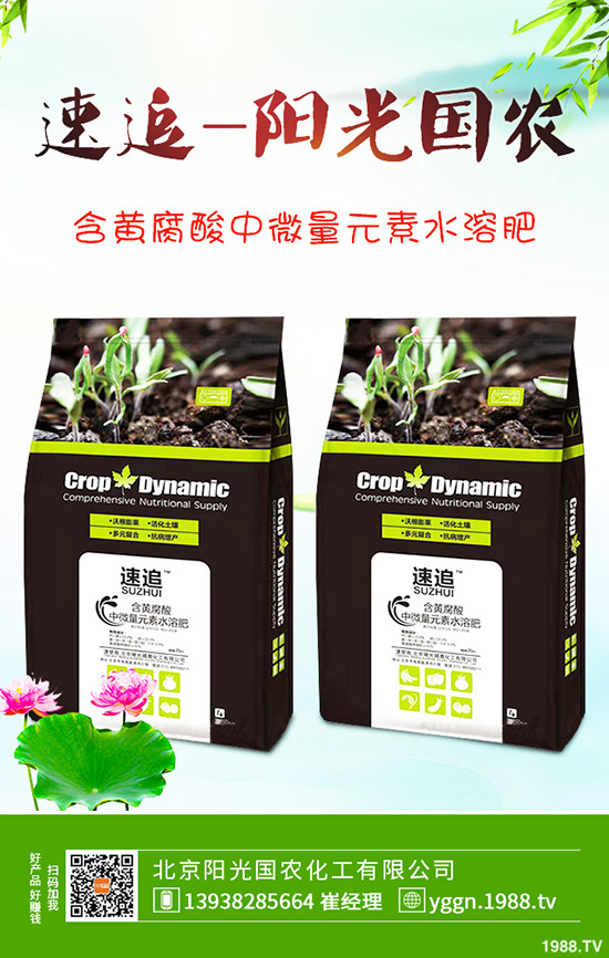     國慶將至！磷酸二銨價格是否影響？最新二銨行情分析2019-9-241-(238)