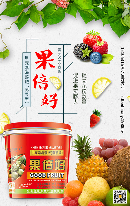 圣女果什么時(shí)間種植？圣女果種植技術(shù)要點(diǎn)有哪些？