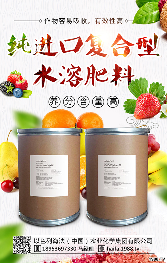 甘藍(lán)菜怎么種植，教你正確種植甘藍(lán)的辦法！