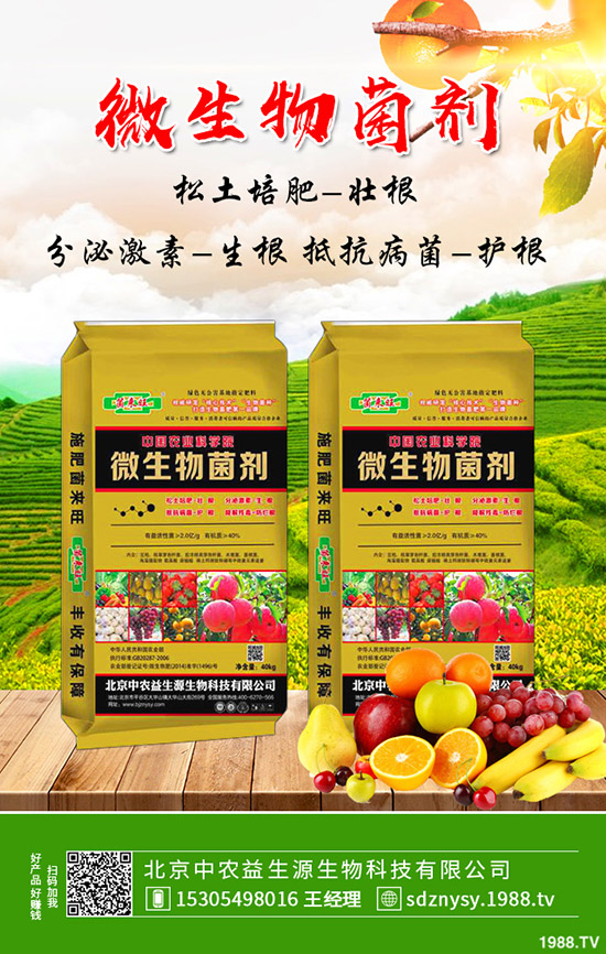     大棚芹菜常見病害及蟲害有哪些？防治措施及藥劑使用推薦！