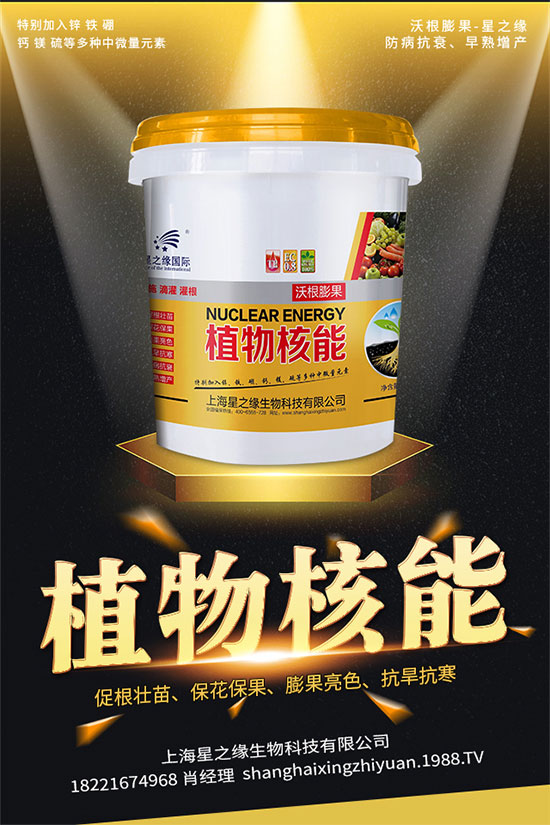 如何選擇辣椒種子？辣椒品種有哪些？