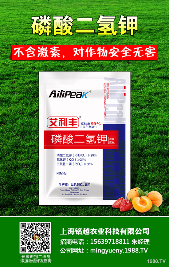 豌豆根腐病有哪些危害表現(xiàn)？該怎樣防治？豌豆根腐病防治方法