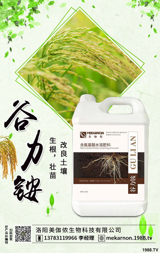 茼蒿該怎么播種？茼蒿高產(chǎn)種植管理方案
