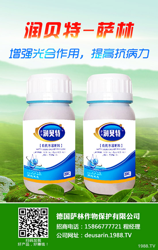 生姜的種植時間，生姜高產(chǎn)種植技術(shù)！