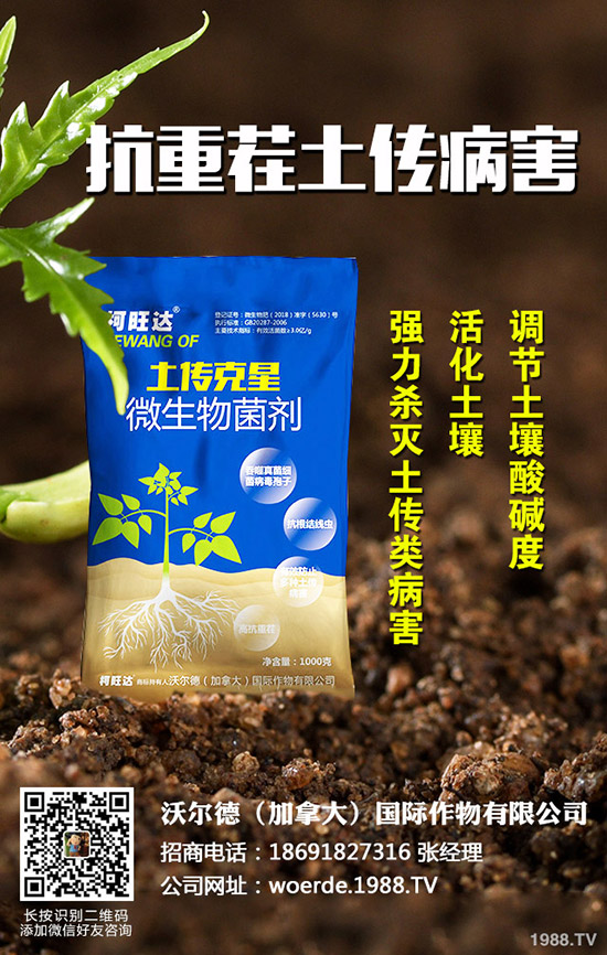 茄子什么時(shí)候育苗，茄子育苗的方法有哪些？