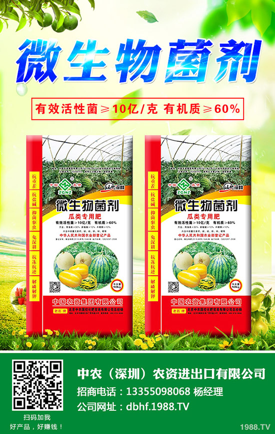 大白菜爛心是什么原因，大白菜爛心防治措施！