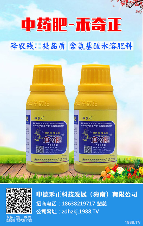 金絲瓜如何栽培，金絲瓜種植小技巧！