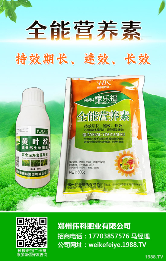 柿子樹怎么嫁接，柿子樹嫁接時間和方法！