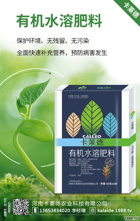 綠蘿長(zhǎng)得太長(zhǎng)怎么辦，綠蘿的修剪方法有哪些？