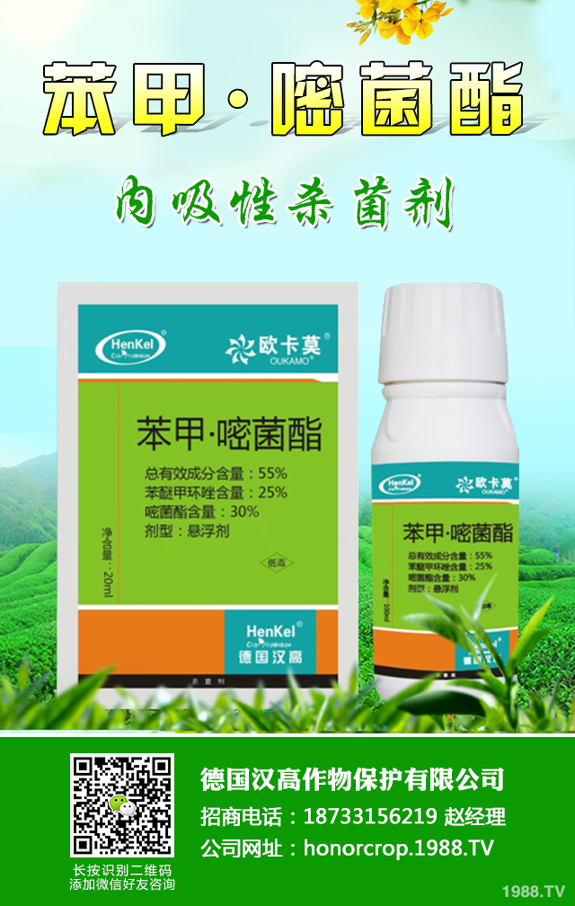 芹菜生理性病害怎樣防治？芹菜生理性病害防治技巧