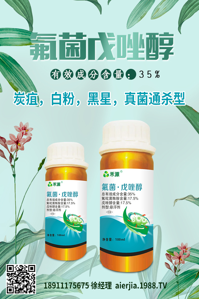 芹菜黑心腐爛怎么防治？芹菜黑心腐爛要對癥防治