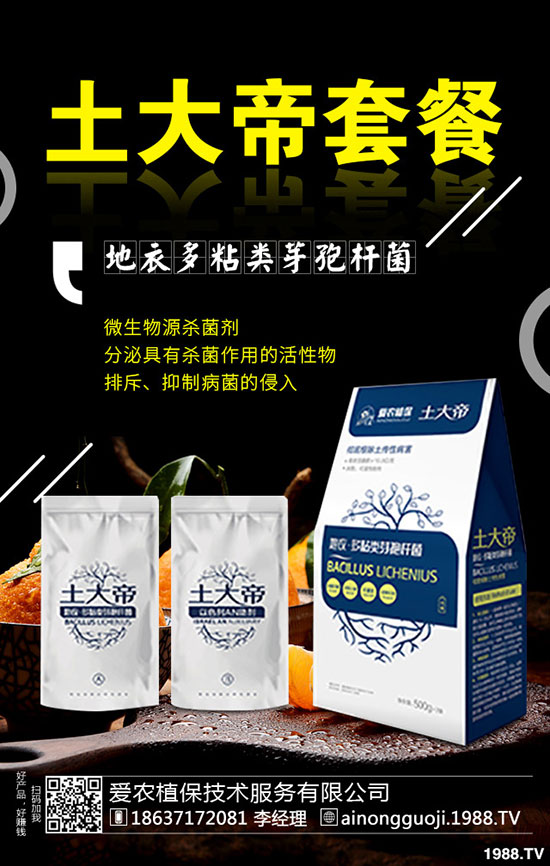 九月份可以種什么蔬菜？2019年9月蔬菜種植指南!