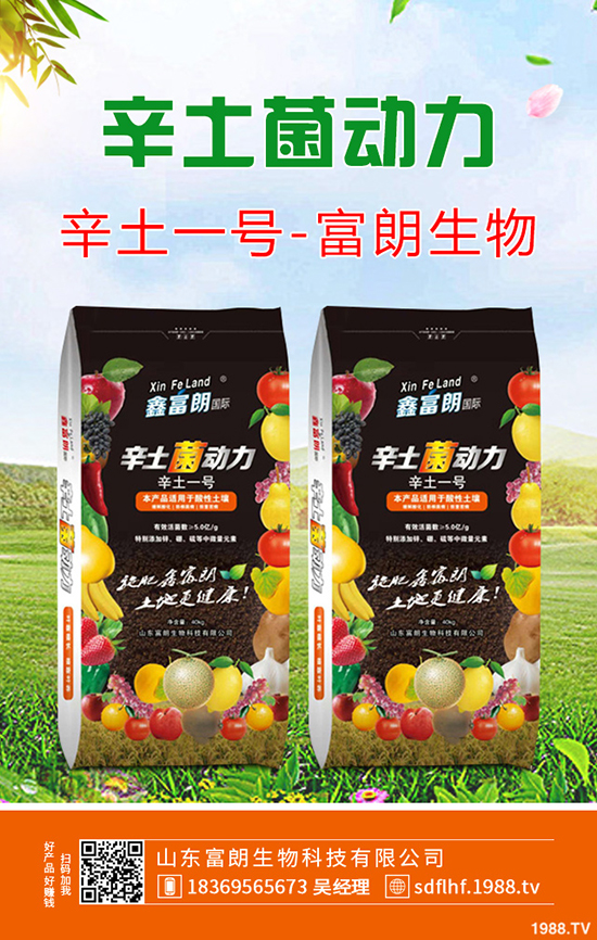     桃樹秋季帶葉修剪好處及什么時間修剪合適？桃樹秋季修剪技術！