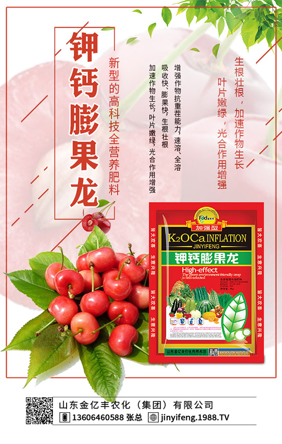     萵苣種植在我國有春茬與秋茬之分，分別使用不同的品種。秋茬品種在較高的溫度條件下，也能形成蓮座葉，然后長出粗大的莖。那么，萵苣的品種有哪些？怎么種植才好呢？