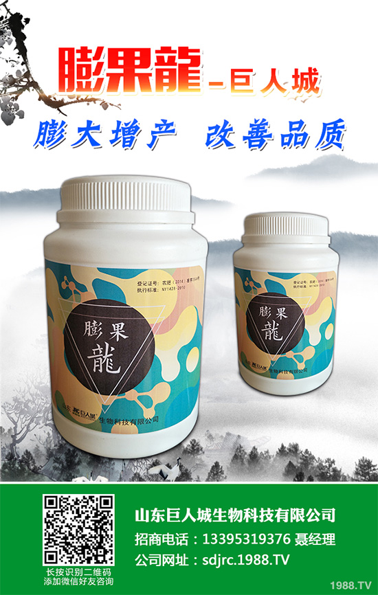 萵苣該如何施肥？萵苣的高產(chǎn)施肥技術(shù)有哪些？這些方法很重要！
