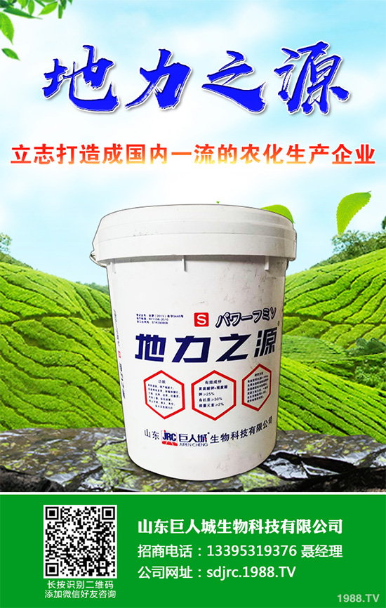 萵苣該如何施肥？萵苣的高產(chǎn)施肥技術(shù)有哪些？這些方法很重要！