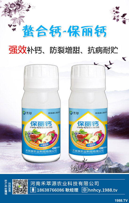 木耳菜怎么種，木耳菜種植時間和種植方法！