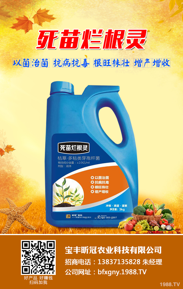 菜豌豆死苗怎么辦？菜豌豆死苗有效防治技巧