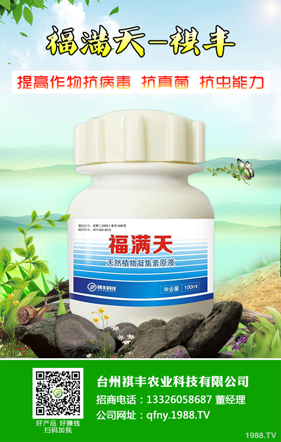 吃萵苣有哪些好處？常見萵苣的做法